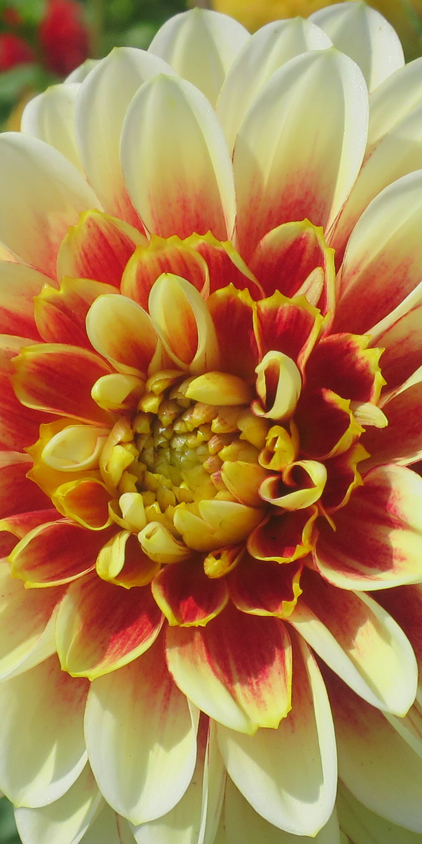 Placeholder image